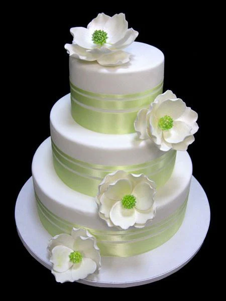 Ribbon Magnolias - Image 2